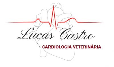 DR. LUCAS DE OLIVEIRA CASTRO